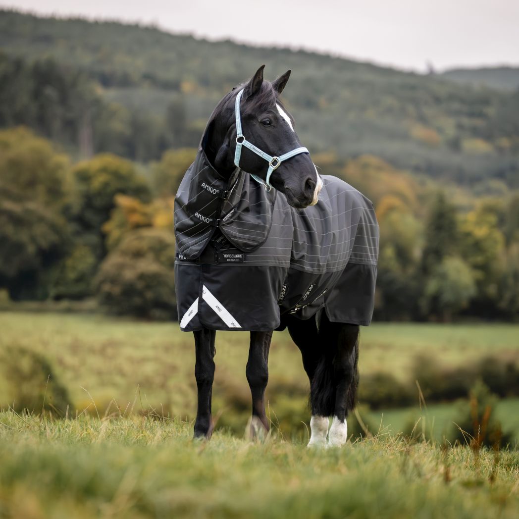 Turnout Rugs