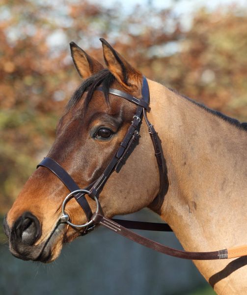 Racing Bridles