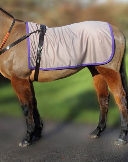 Pony Rugs