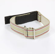 All Elastic Tongue Tie