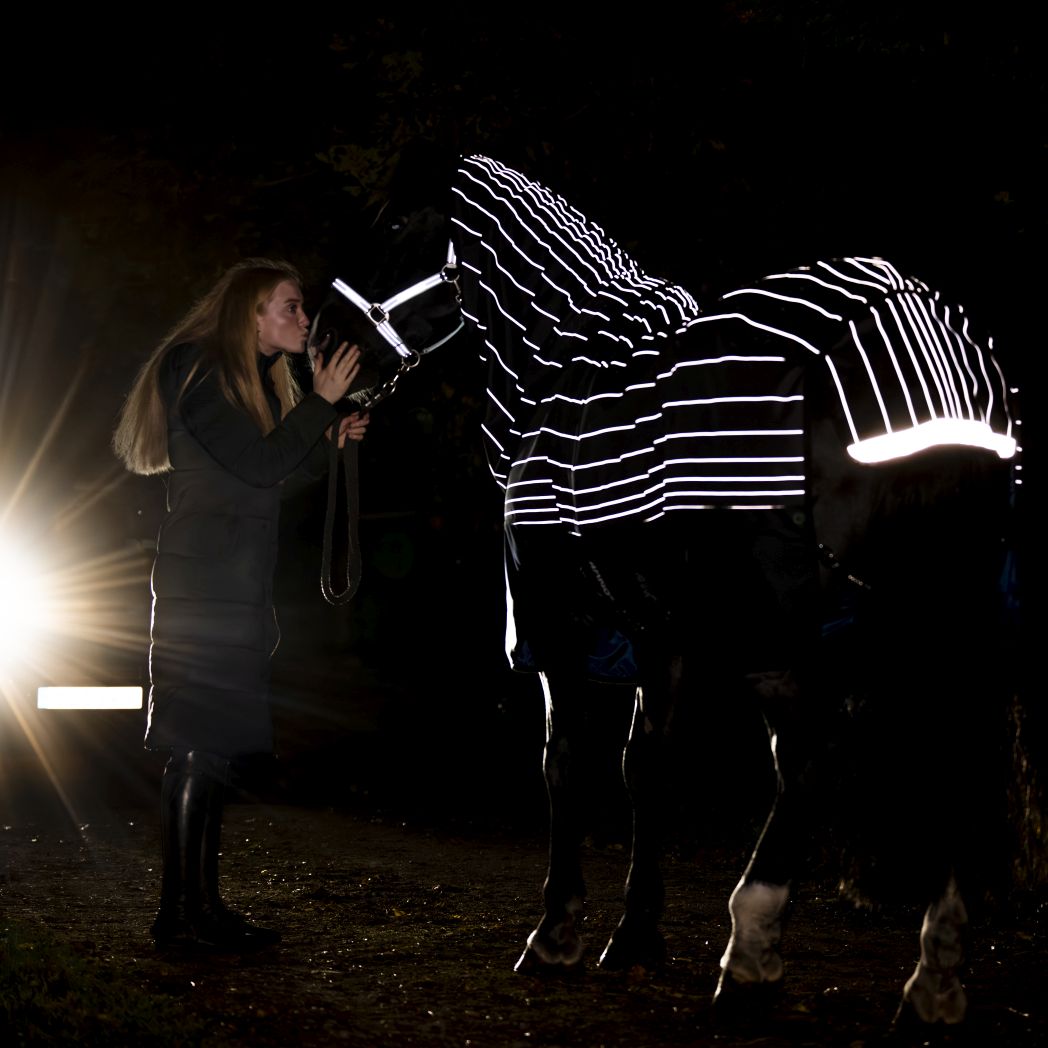 Horseware 1200D FieldSafe Reflectech 250g Turnout 2025