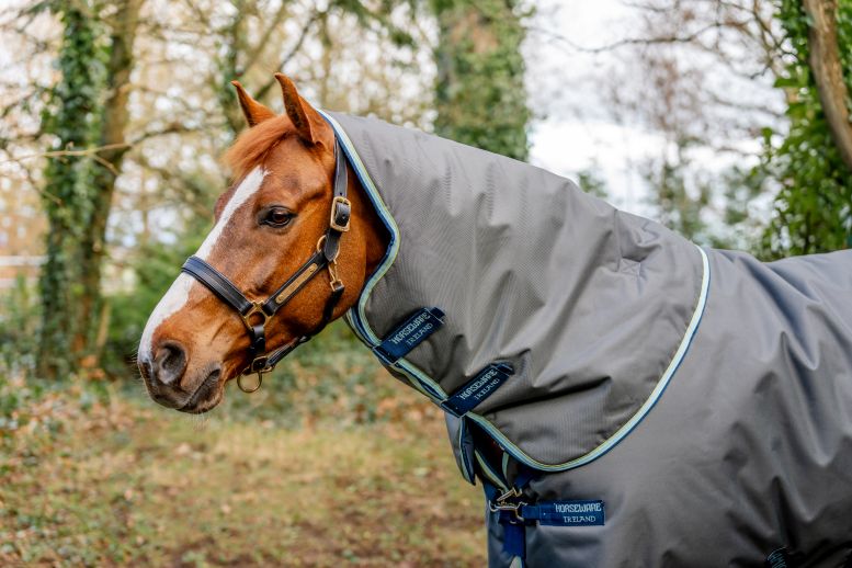 Horseware Amigo Bravo 12 Plus 400g Turnout 2024