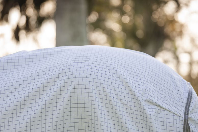 Horseware Amigo Summer Sheet Plus