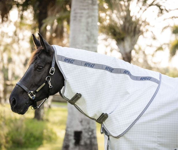 Horseware Amigo Summer Sheet Plus
