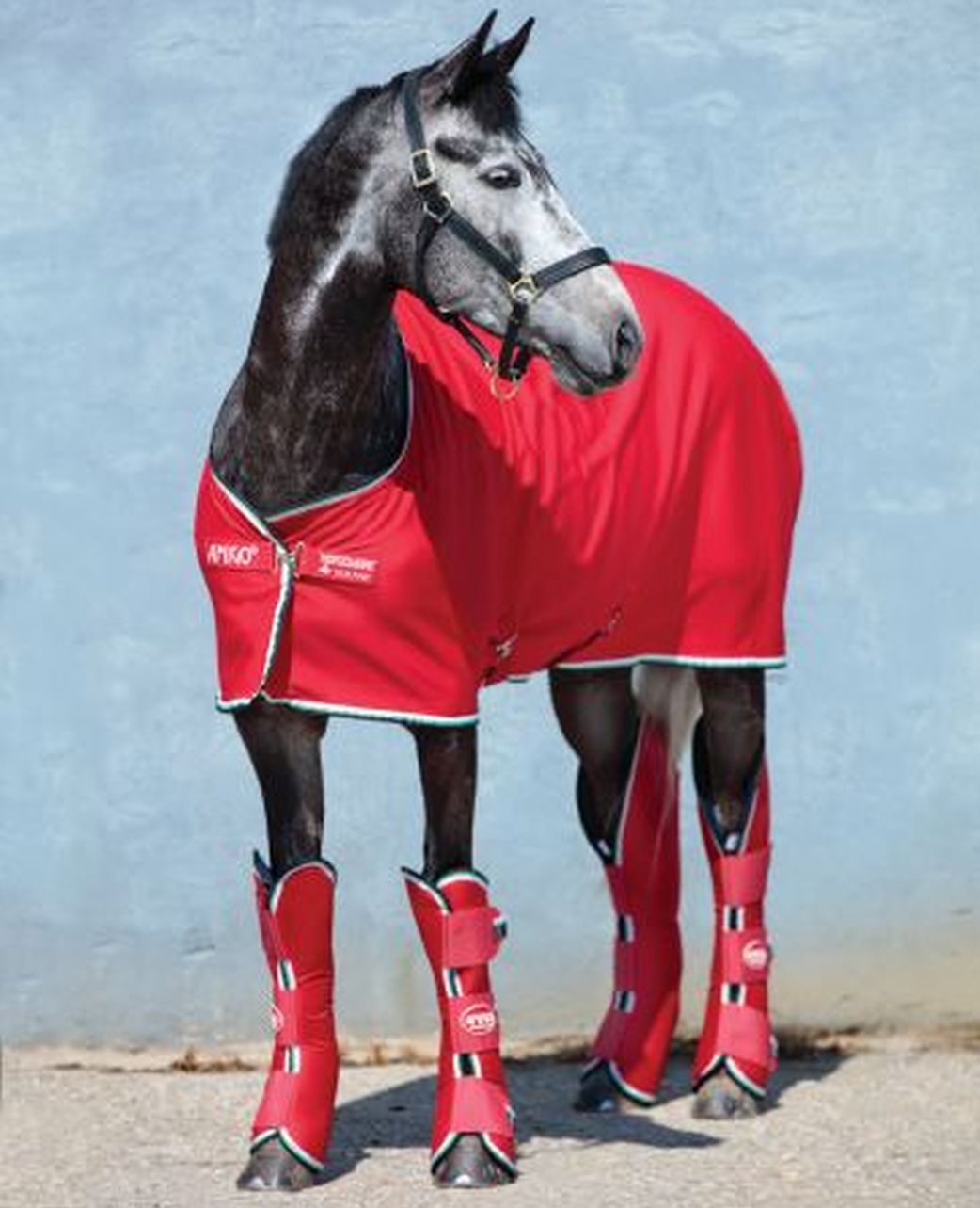 Horseware Amigo Travel Boots