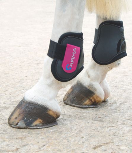 ARMA Fetlock Boots