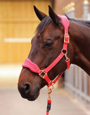  ARMA Fleece Headcollar and Lead Rope Set