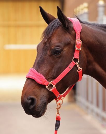  ARMA Fleece Headcollar and Lead Rope Set