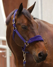  ARMA Fleece Headcollar and Lead Rope Set