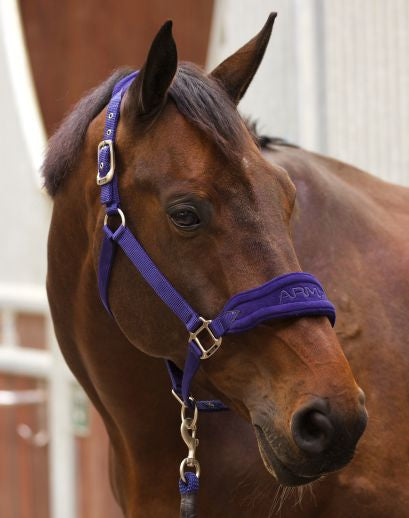  ARMA Fleece Headcollar and Lead Rope Set