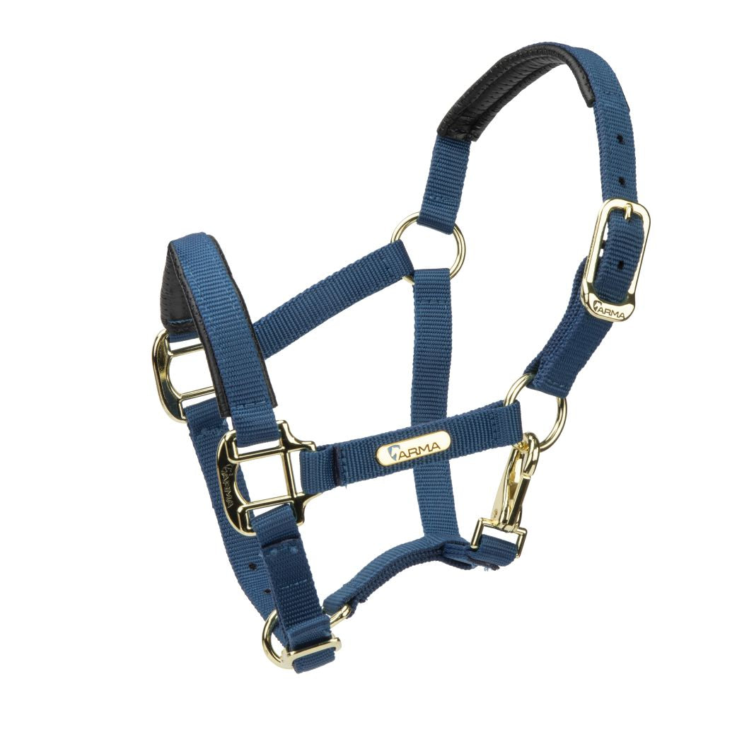 Topaz Headcollar