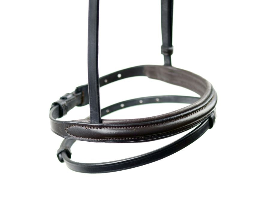 Flash Noseband