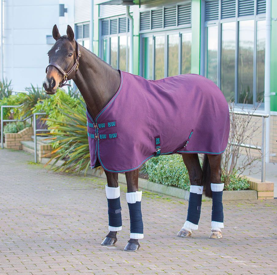 Bridleway Universal Sheet