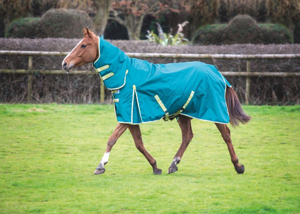 Bridleway Ontario 100g Combo Turnout Rug