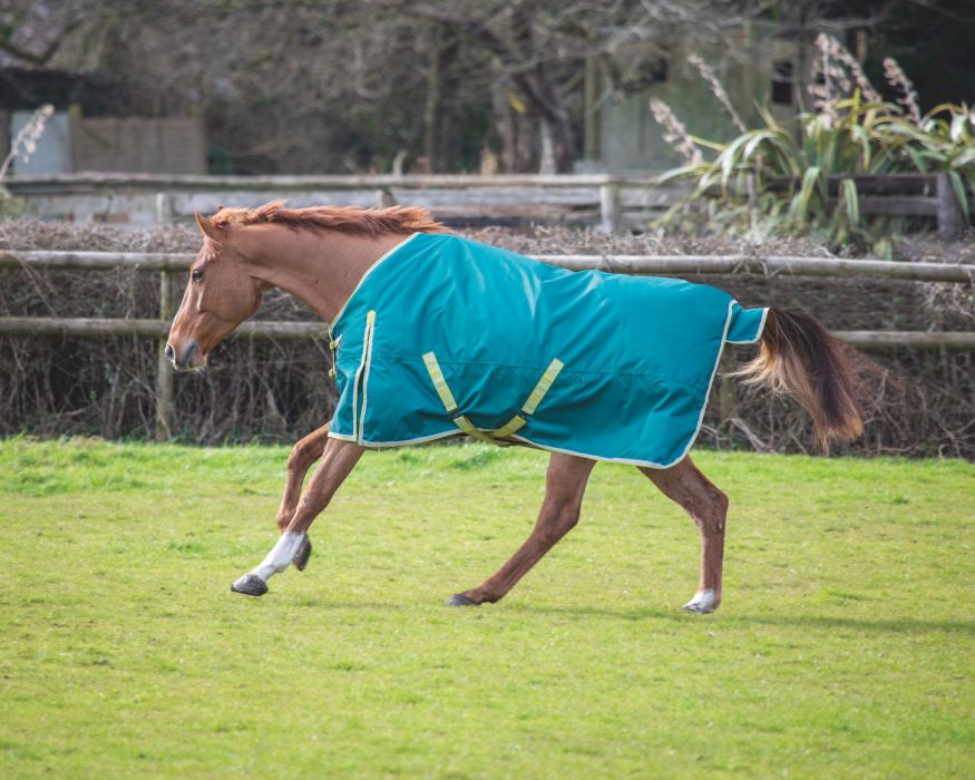 Bridleway Ontario 100g Combo Turnout Rug