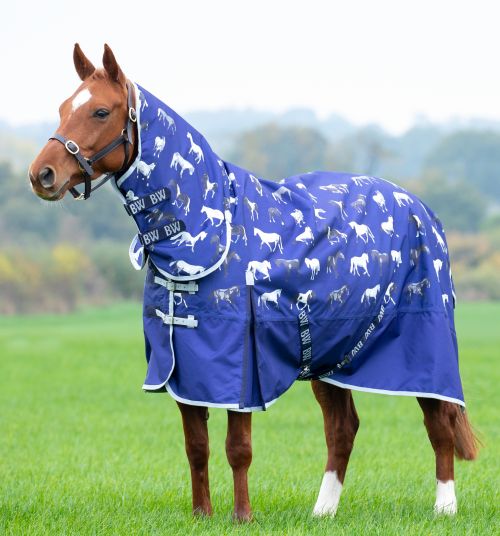 Bridleway Ontario Lite Combo Pony Turnout Rug