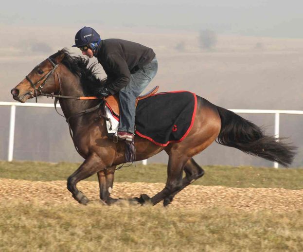 EJ Wicks Cut Away Exercise Sheet