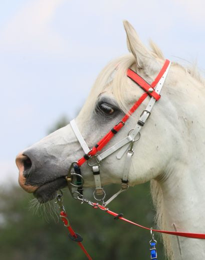Zilco Deluxe 2-Part Bridle - Bridle