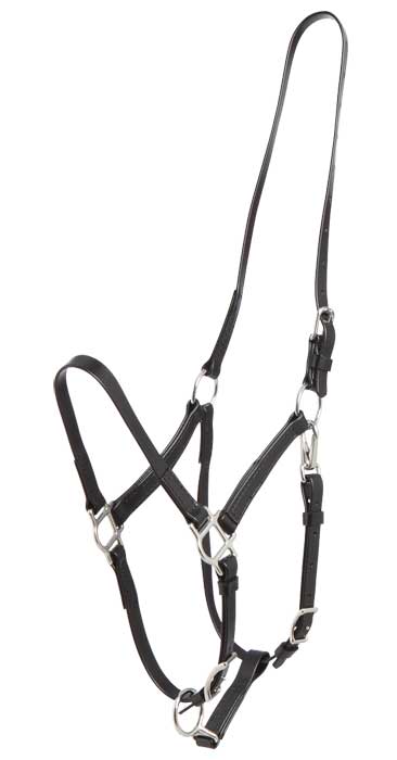 Zilco Deluxe 2-Part Bridle - Halter