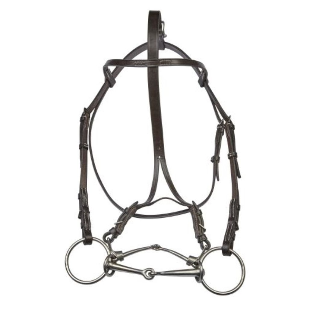 EJ Wicks Citation Bridle