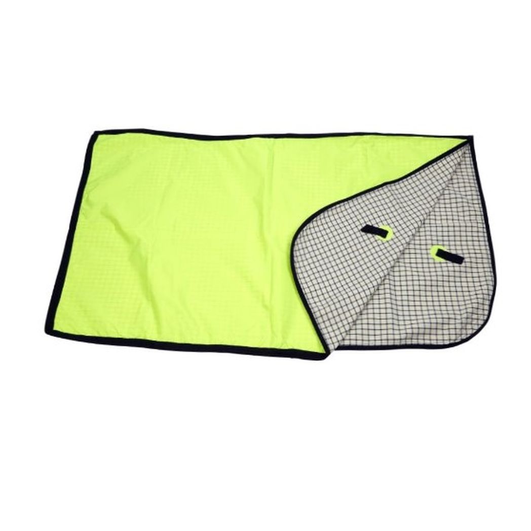 EJ Wicks Fluorescent Exercise Sheet