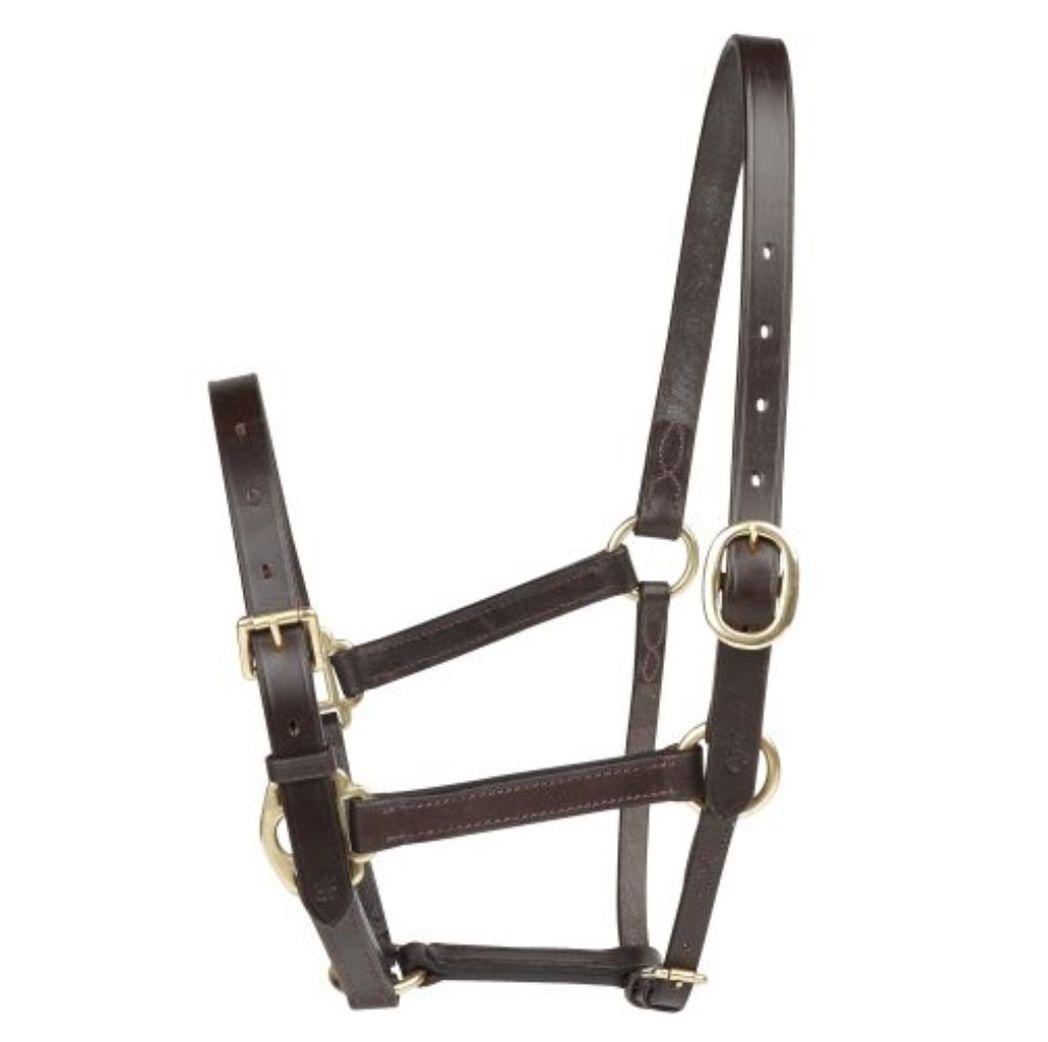 EJ Wicks 3rd Foal Headcollar