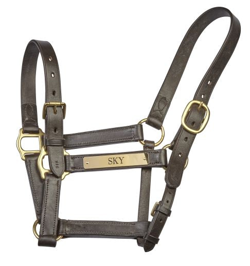 Engraved Headcollar Nameplate