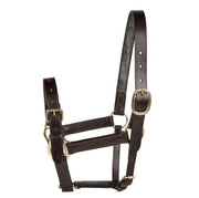 EJ Wicks Yearling Headcollar