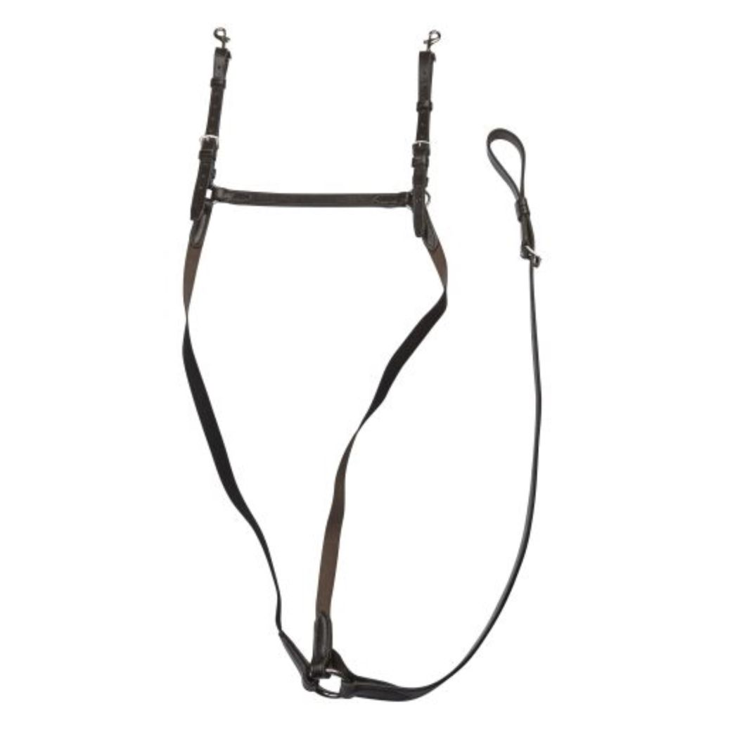 EJ Wicks 5* Leather and Elastic Breastplate