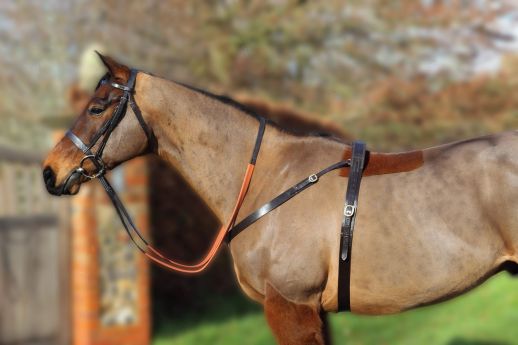 4* Leather Paddock Roller