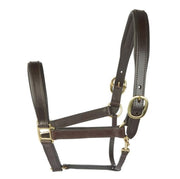 EJ Wicks Padded Leather Headcollar