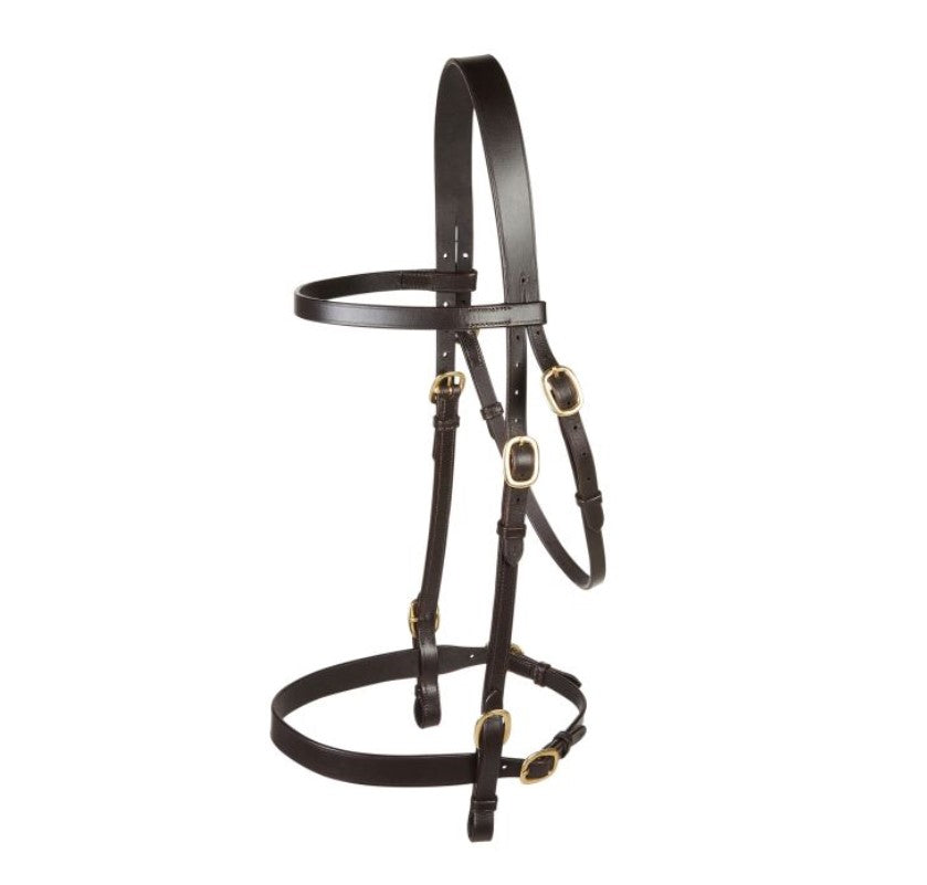 EJ Wicks In-Hand Bridle
