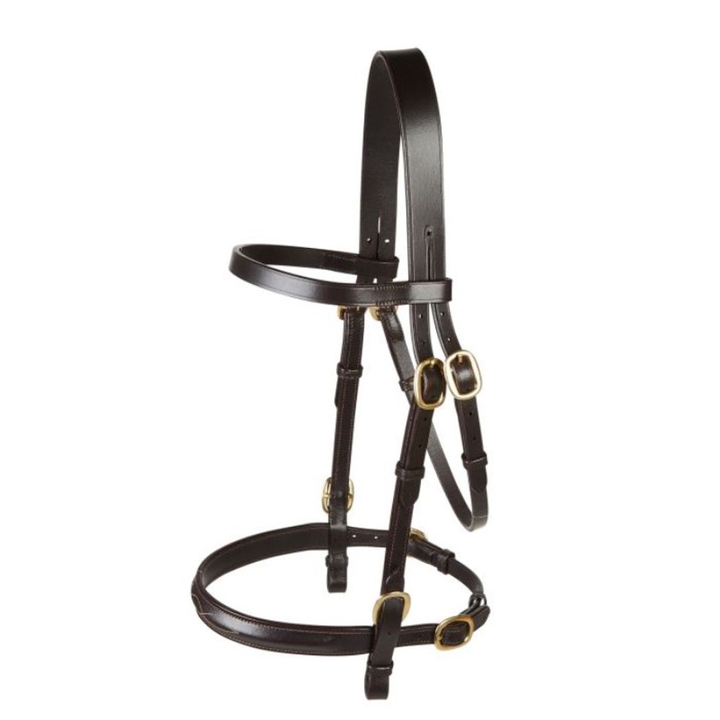 EJ Wicks In-Hand Bridle