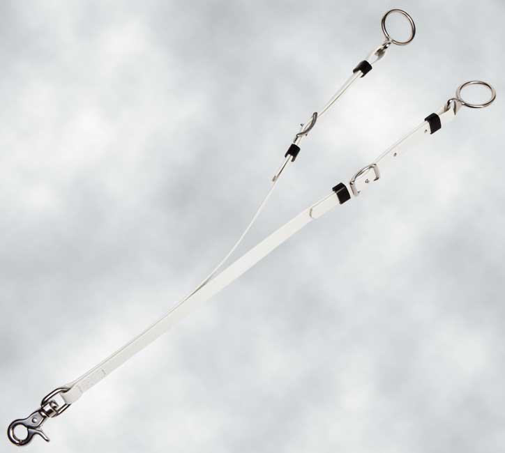 Zilco Endurance Martingale