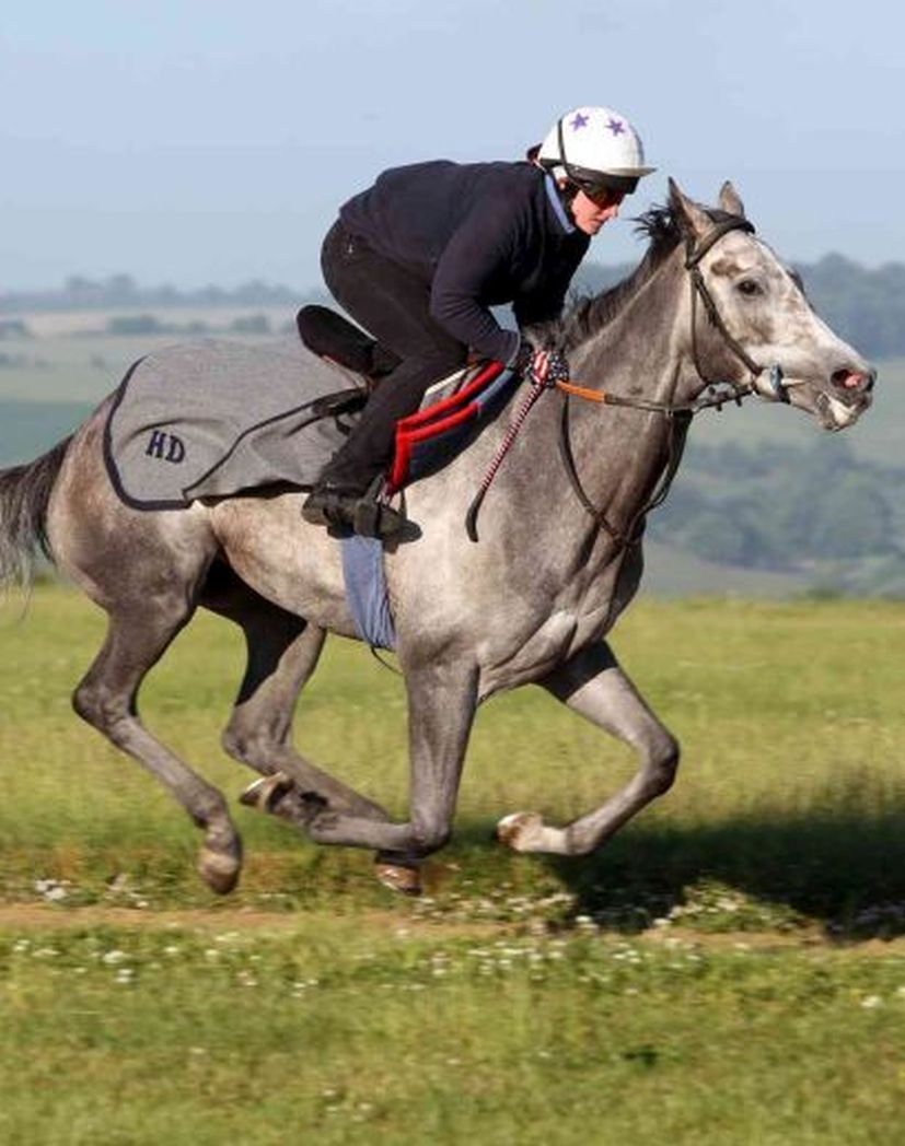 EJ Wicks Exercise Sheet