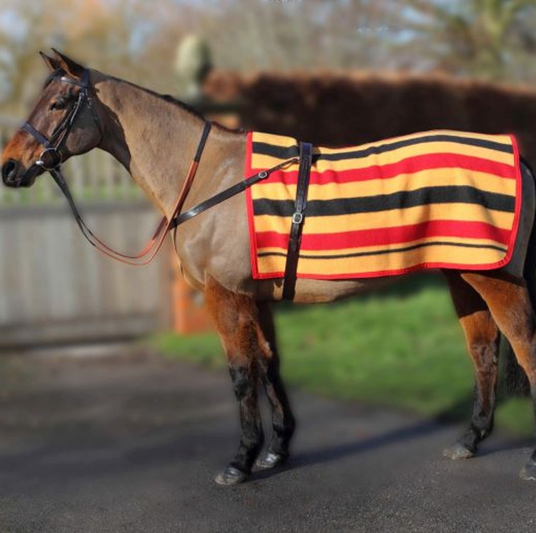 Witney Exercise Sheet