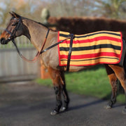 Witney Exercise Sheet