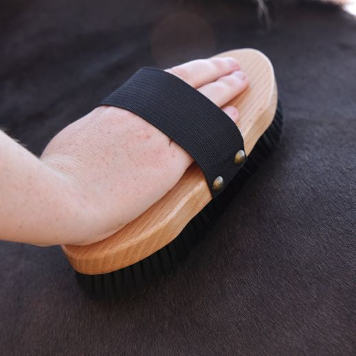 Ezi-Groom Premium Body Brush