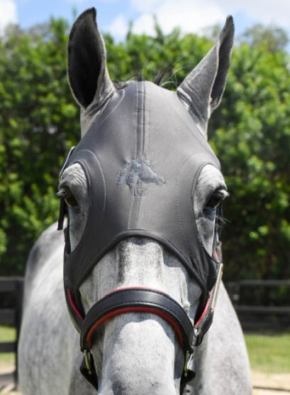 Fenwick Liquid Titanium Mask