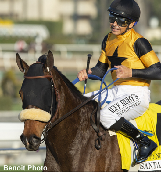 Fenwick Liquid Titanium Mask