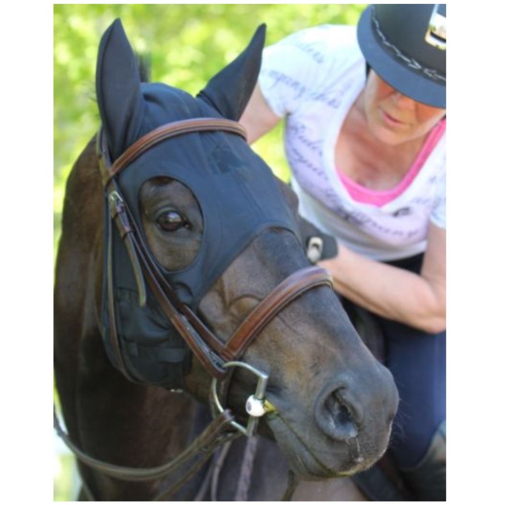 Fenwick Liquid Titanium Hood