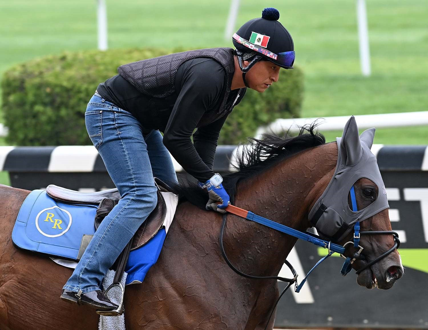 Fenwick Liquid Titanium Hood