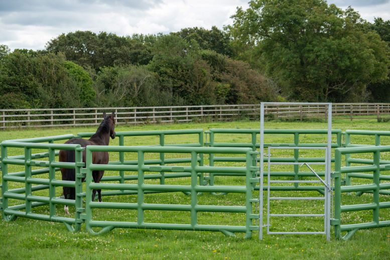 Duracorral Turnout Pen