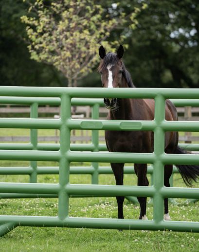 Duracorral Turnout Pen
