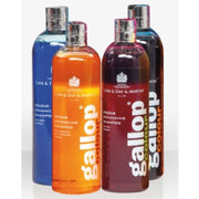 Gallop Colour Enhancing Shampoo