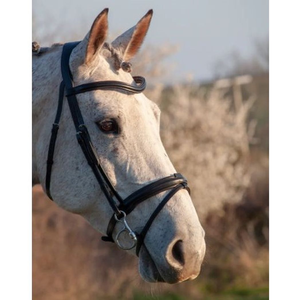 Henry James Comfort Flash Bridle