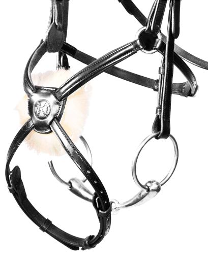 Henry James Mexican Grackle Bridle