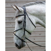 Henry James Mexican Grackle Bridle