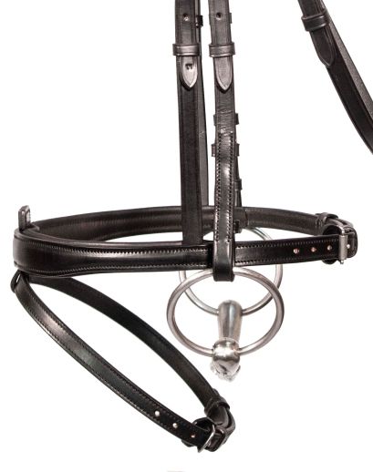 Henry James Comfort Flash Bridle