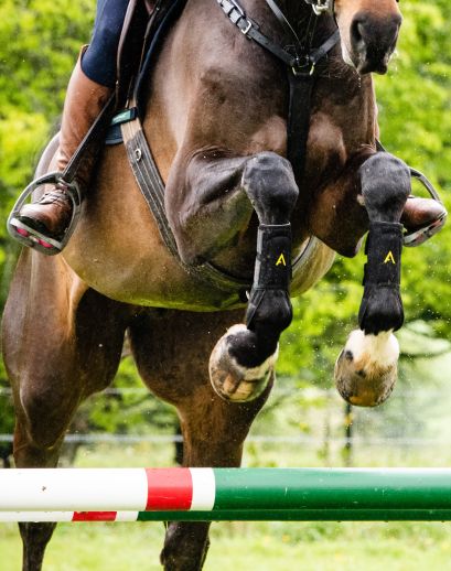 Horseware Adagio Boots